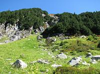 IMG_8472 Pretty green meadow and rocks